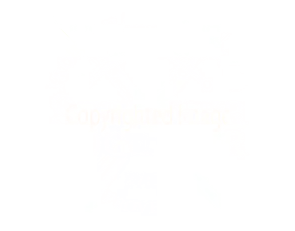 Iron Sharpens Iron